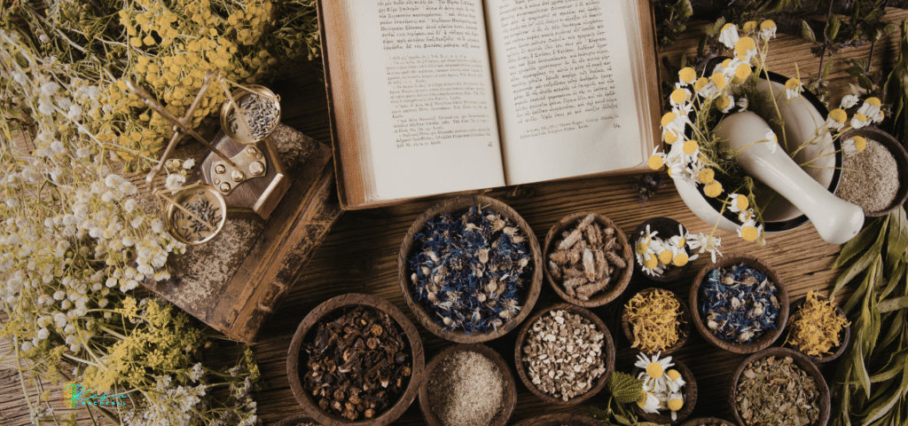 Herbs and healing practices representing Kasia Rachfall's intuitive healing work.