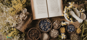 Herbs and healing practices representing Kasia Rachfall's intuitive healing work.