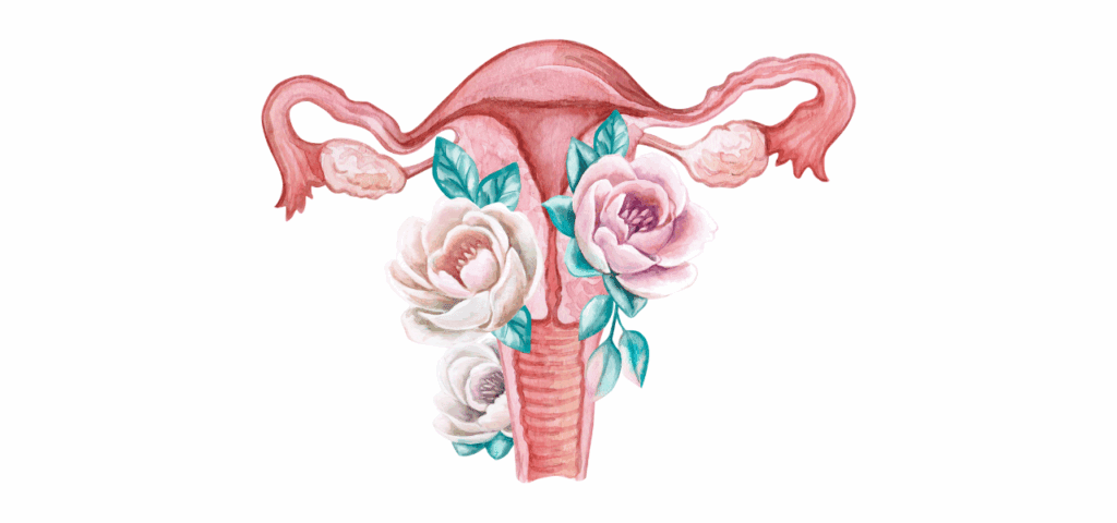 Womb wisdom illustration representing women’s circles, embodiment, cycle awareness, and somatic writing.