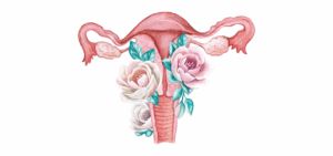 Womb wisdom illustration representing women’s circles, embodiment, cycle awareness, and somatic writing.