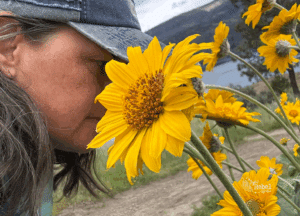 womb healing kelowna bc