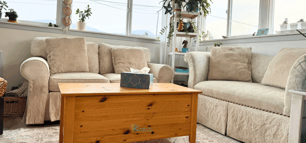 Cozy office where Kasia supports clients in nervous system regulation.